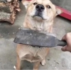一生的路