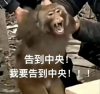 顺其自然