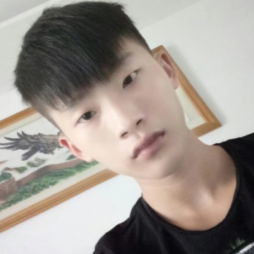 汉化
