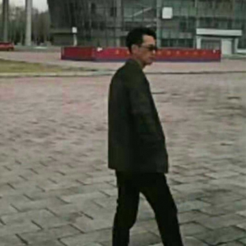 浪子情哥