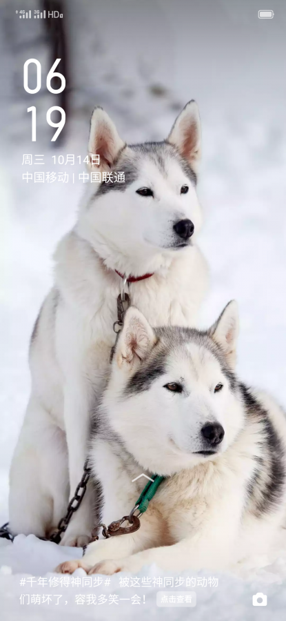 【孤单寂寞】的相册