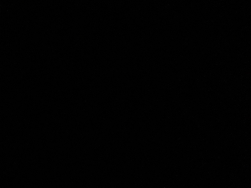 涂涂画画
